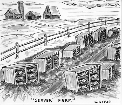 server_farm.jpg