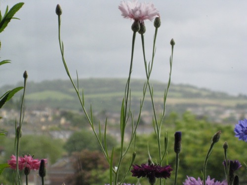 Catherine's BALCONY.JPG