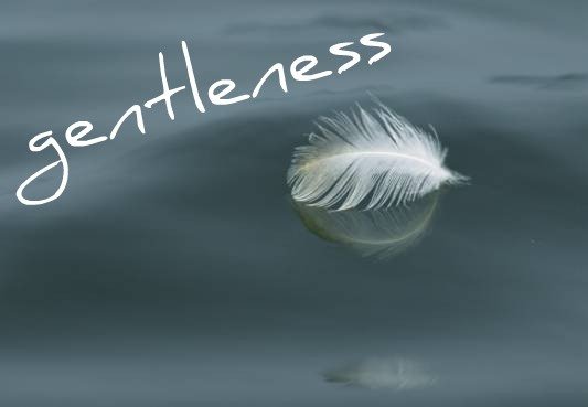 TREMENDOUS Gentleness.jpg